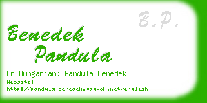 benedek pandula business card